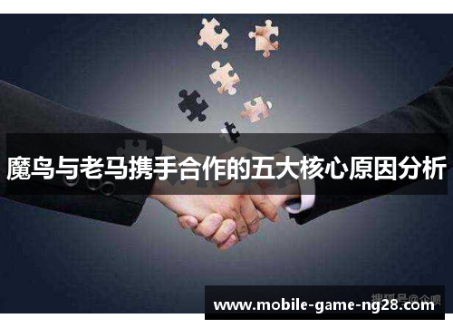 魔鸟与老马携手合作的五大核心原因分析