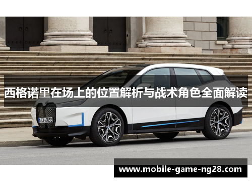 西格诺里在场上的位置解析与战术角色全面解读